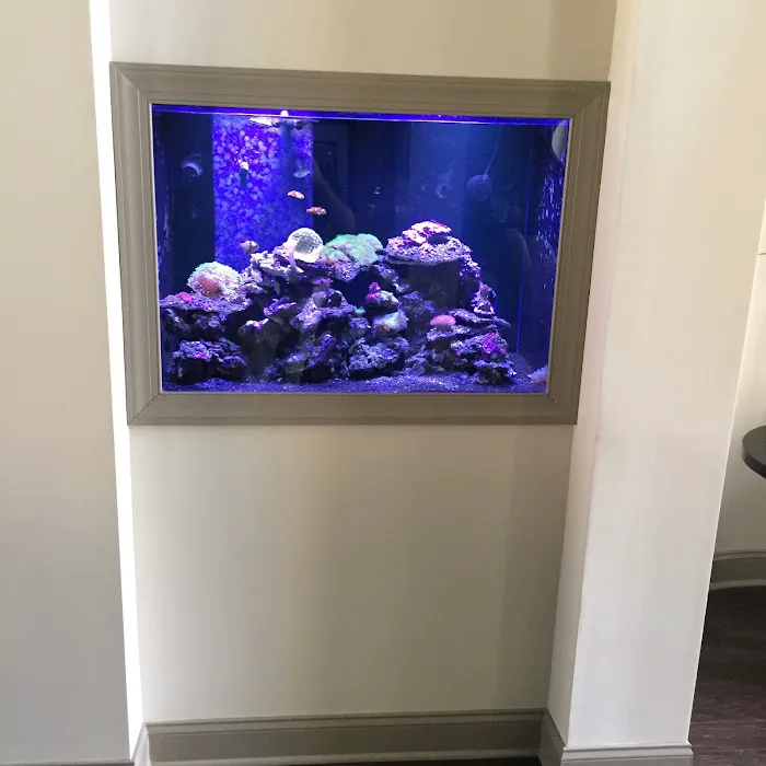 Clearwater Aquarium Services Picture 5