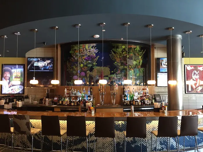 Clearwater Aquarium Services Picture 6