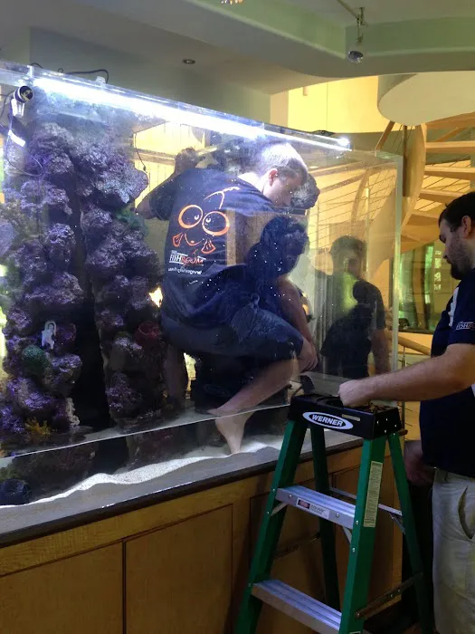 Clearwater Aquarium Services Picture 9