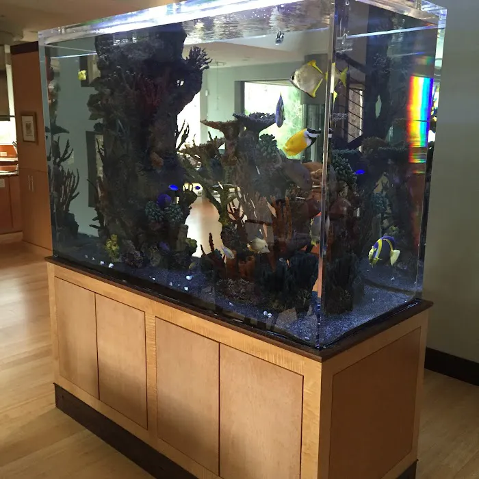 Clearwater Aquarium Services Picture 3