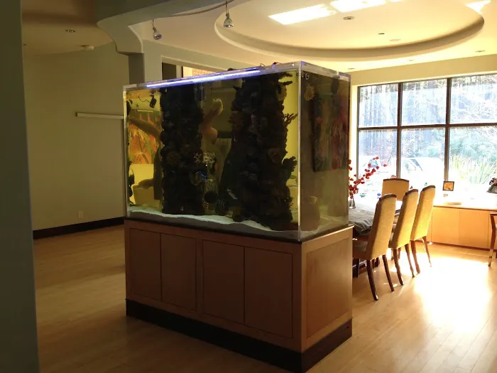 Clearwater Aquarium Services Picture 4