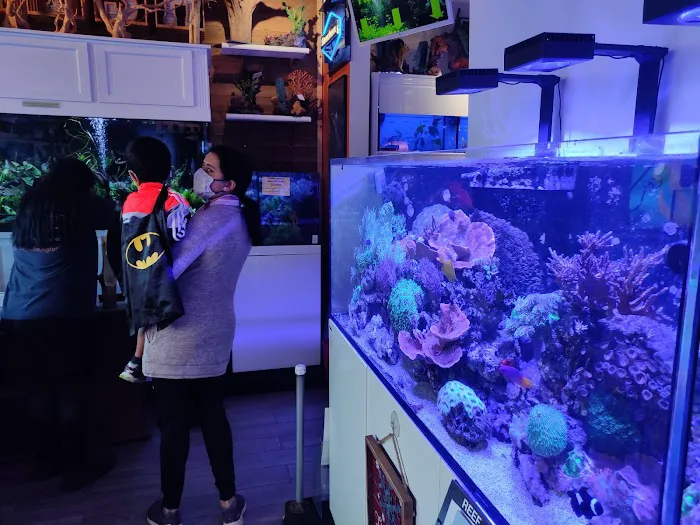 The Fish Room Picture 1