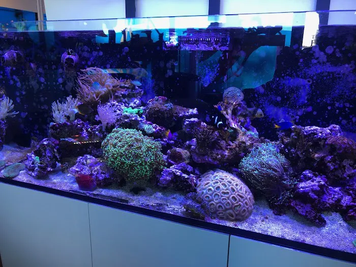 The Fish Room Picture 7