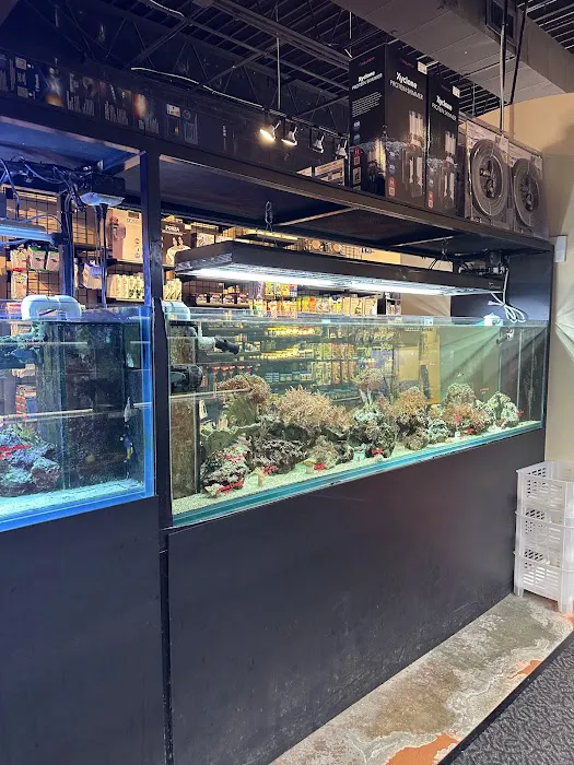 The Fish Room Picture 5