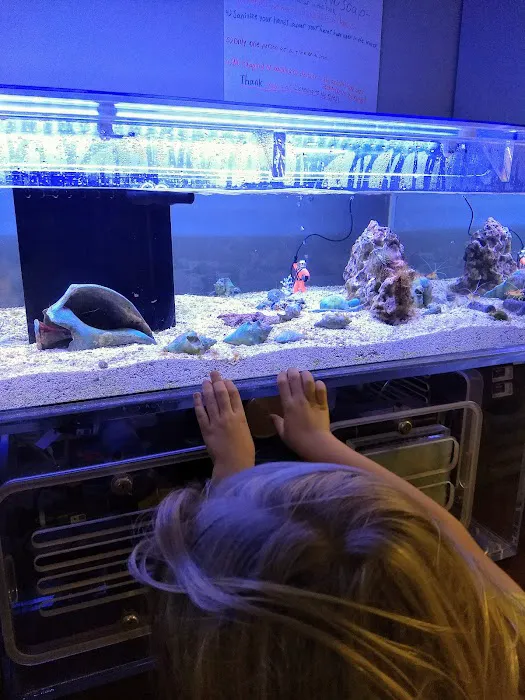 The Fish Room Picture 8