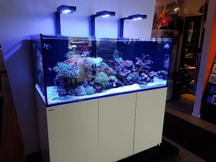 The Fish Room Picture 4