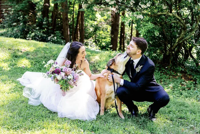 Gianni Cooling Picture 1