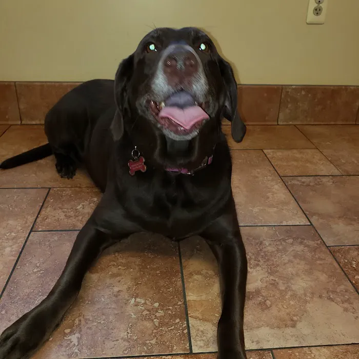 Barnside Veterinary Hospital Picture 6