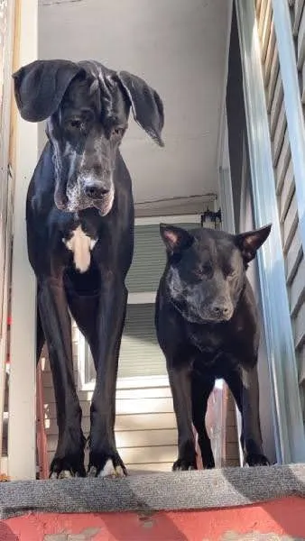 Barnside Veterinary Hospital Picture 5