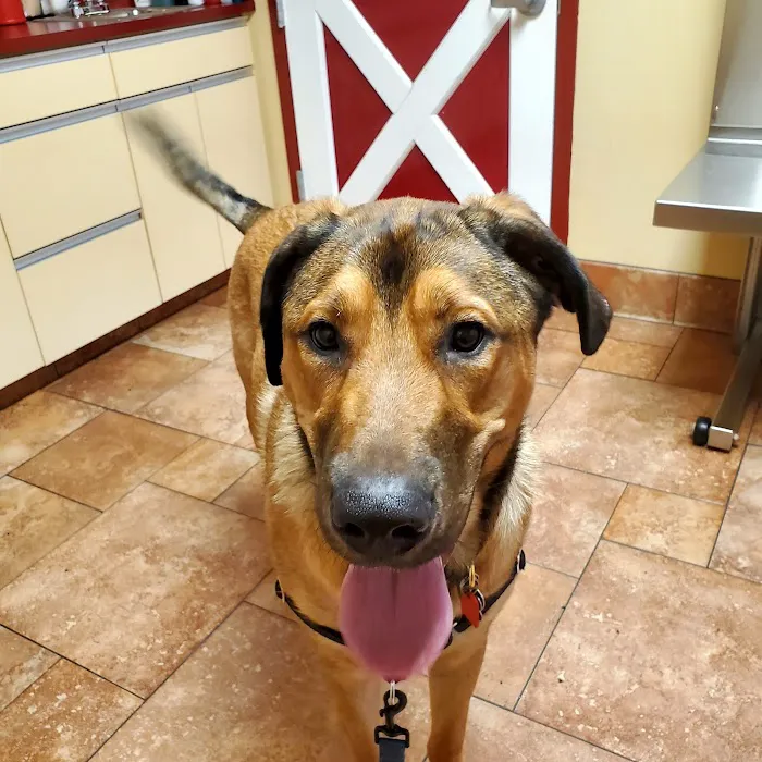 Barnside Veterinary Hospital Picture 7