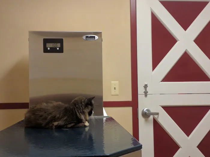 Barnside Veterinary Hospital Picture 2