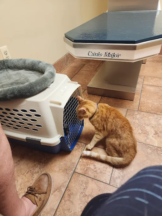 Barnside Veterinary Hospital Picture 10