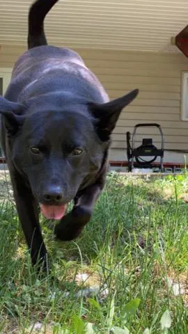 Barnside Veterinary Hospital Picture 3