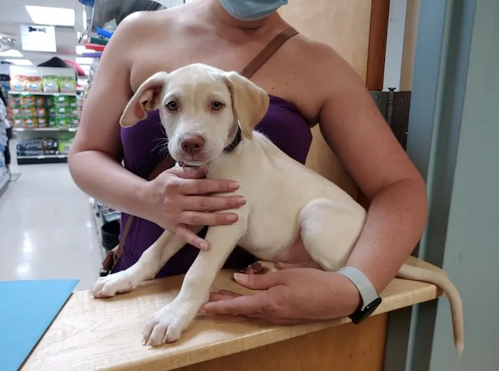 Prefurred Veterinary Picture 3