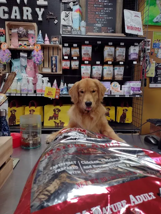 Hollywood Feed Picture 4