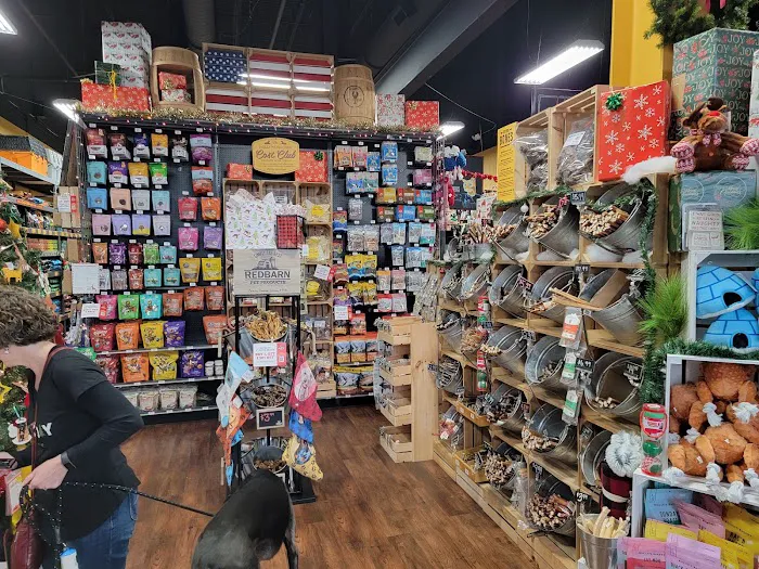 Hollywood Feed Picture 1