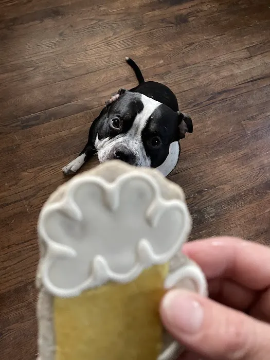 Hollywood Feed Picture 3