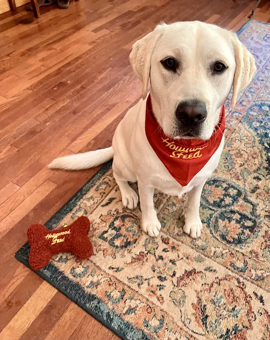 Hollywood Feed Picture 5