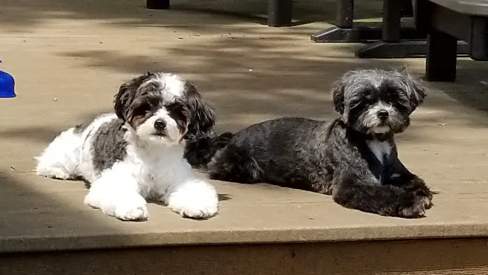 Hollywood Feed Picture 9