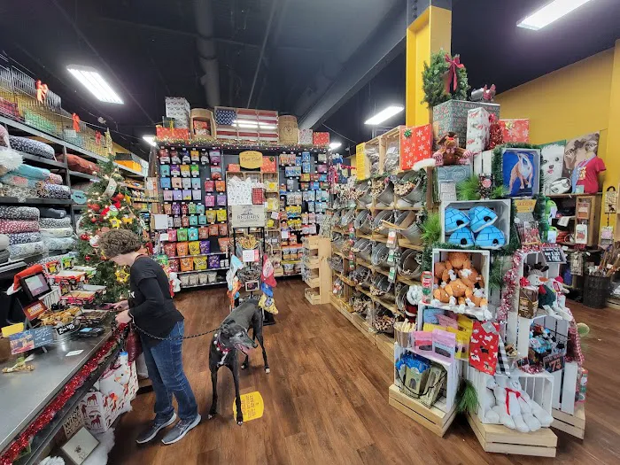 Hollywood Feed Picture 8