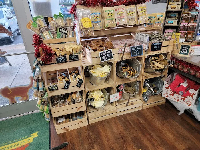 Hollywood Feed Picture 7