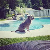 Parker Creek Veterinary Hospital ico