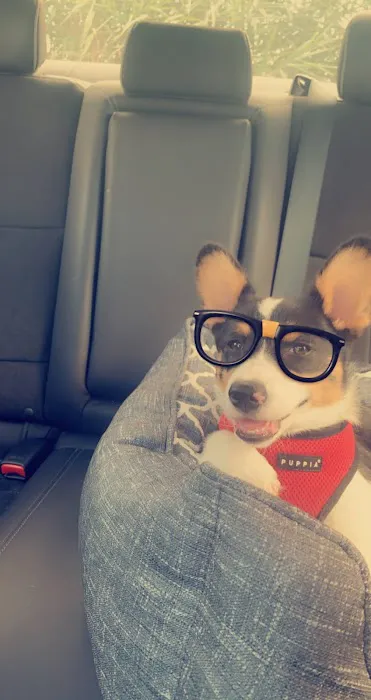 Parker Creek Veterinary Hospital Picture 6