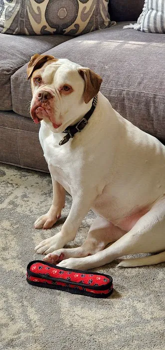 Parker Creek Veterinary Hospital Picture 5