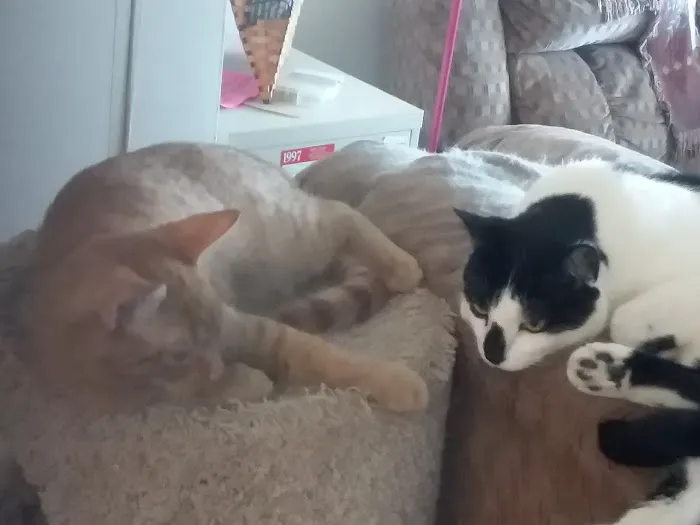 Parker Creek Veterinary Hospital Picture 7