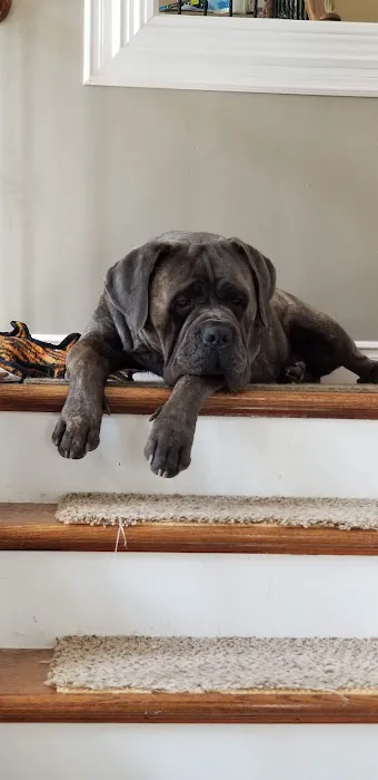 Parker Creek Veterinary Hospital Picture 4