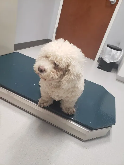 Parker Creek Veterinary Hospital Picture 2