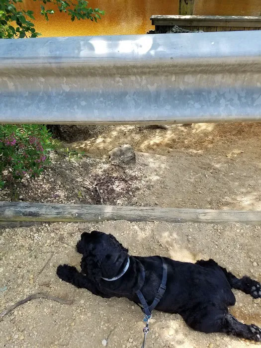 Parker Creek Veterinary Hospital Picture 9