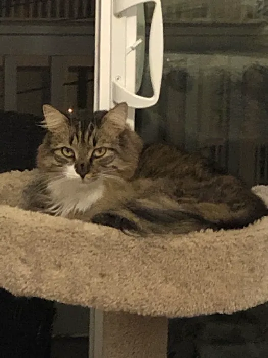 Parker Creek Veterinary Hospital Picture 3