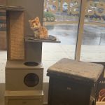 Unleashed, The Dog & Cat Store Crescent Commons