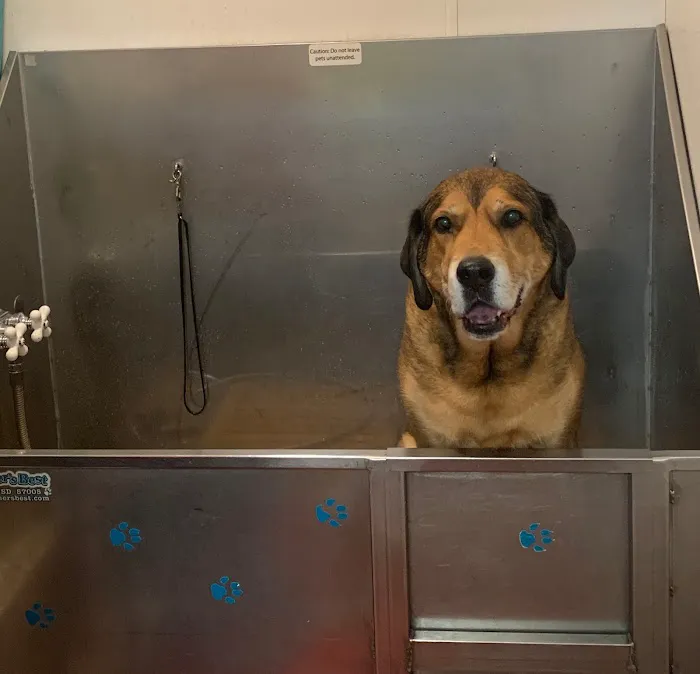 Unleashed, The Dog & Cat Store Crescent Commons Picture 8