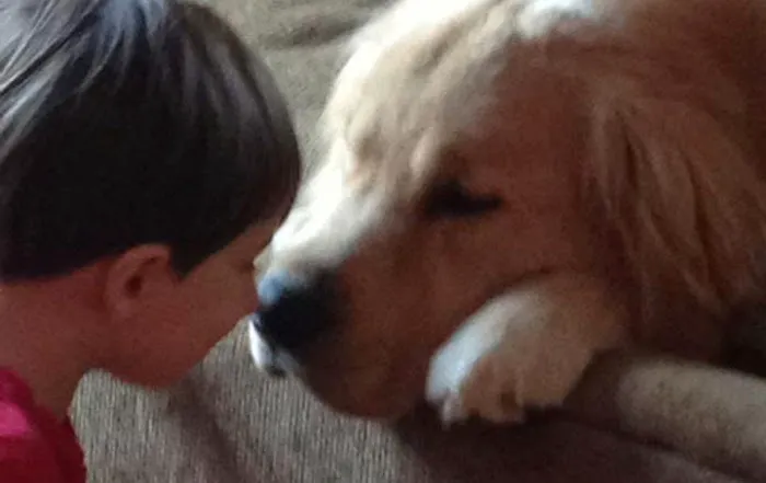 Mosaic Animal Health Center Fair Haven Picture 4