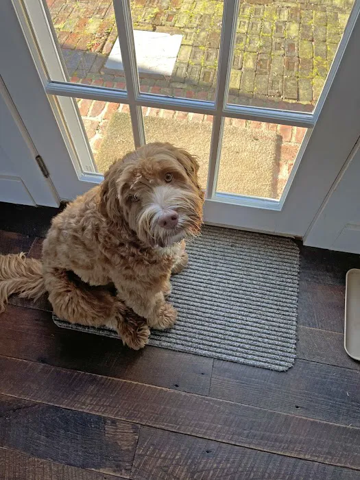 Mosaic Animal Health Center Fair Haven Picture 3