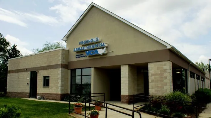 Freehold Animal Hospital Picture 9