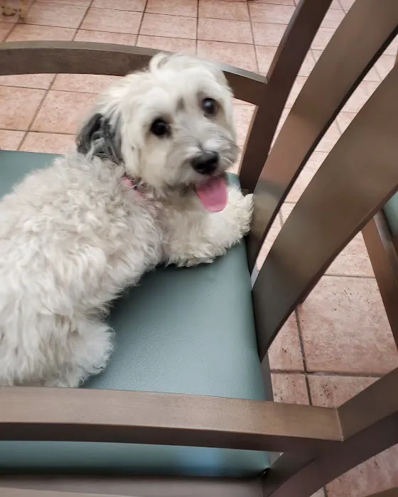 Freehold Animal Hospital Picture 4