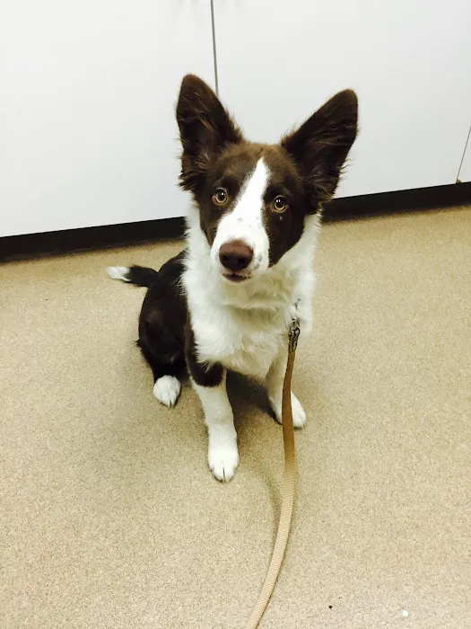 Freehold Animal Hospital Picture 3