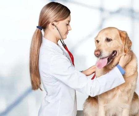 Preserdal Medical