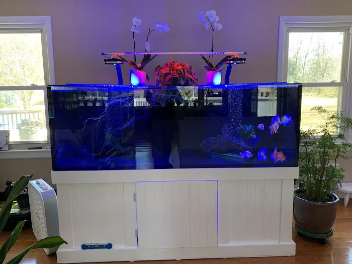 Pet Travel Online Picture 6