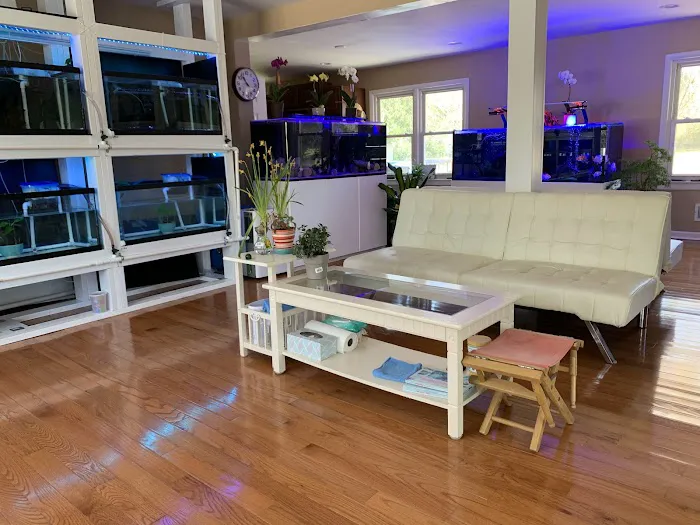 Pet Travel Online Picture 9