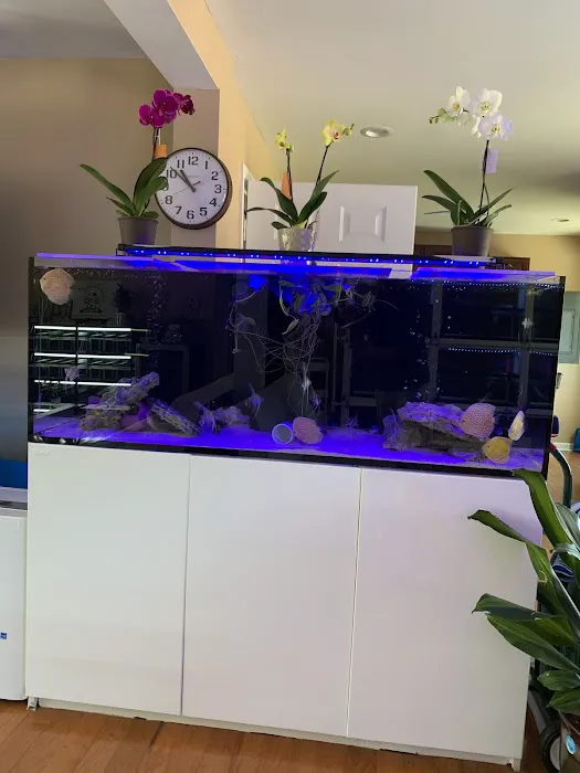 Pet Travel Online Picture 10