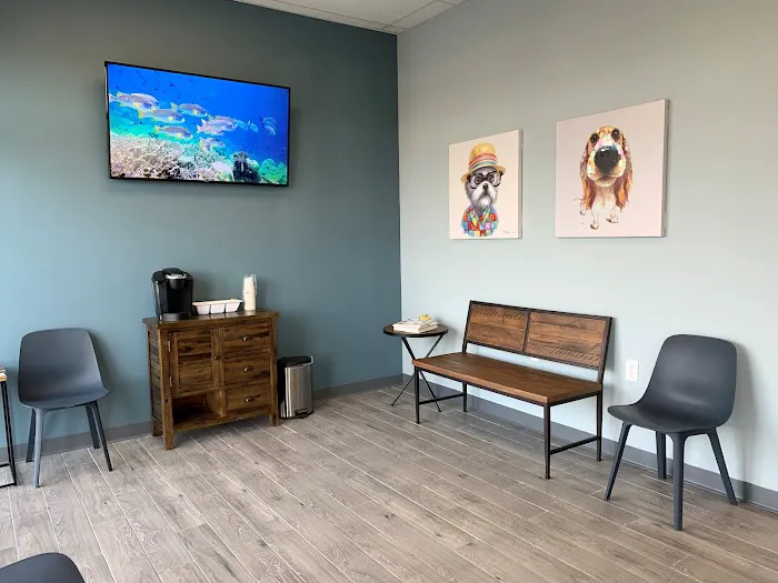 Vetmetis Veterinary Urgent Care and Wellness Picture 2