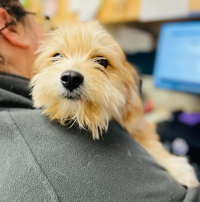 Cranbury Animal Hospital Picture 4