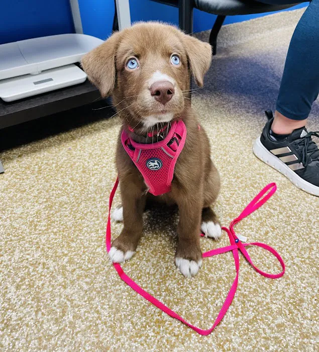 Cranbury Animal Hospital Picture 10