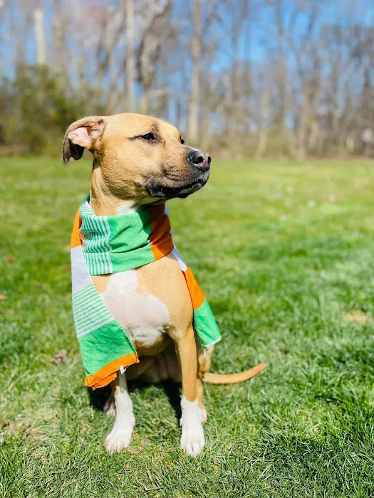 Cranbury Animal Hospital Picture 7