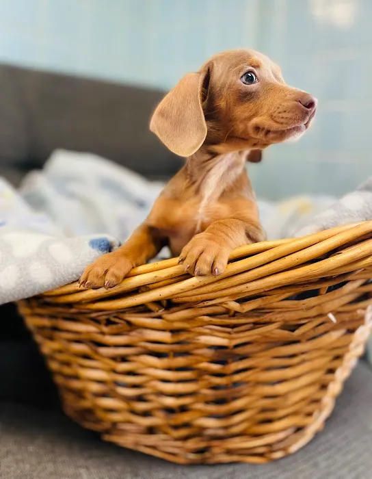 Cranbury Animal Hospital Picture 3