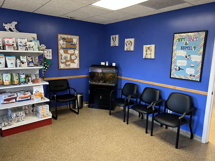 Cranbury Animal Hospital Picture 9